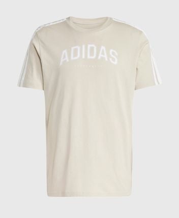 Crew neck t-shirt Colleg
