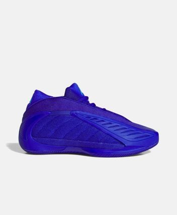Training shoes Anthony Edwards 2