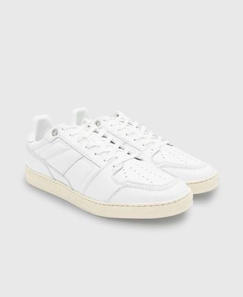 Sneakers Baskets